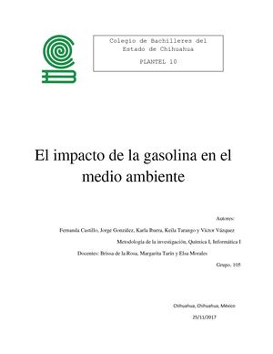 Impacto De La Gasolina En El Medio Ambiente