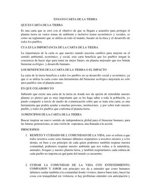 Carta De La Tierra