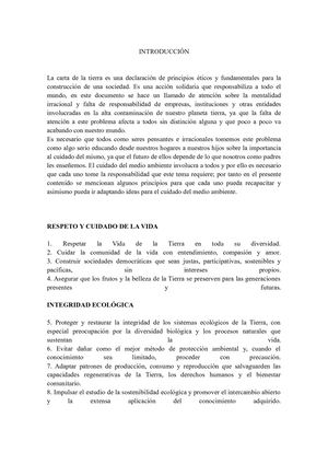 Ensayo Carta De La Tierra