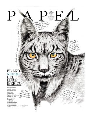 El Año Negro Del Lince Ibérico 48 Muertos