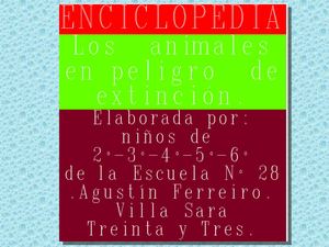 Trayectoria Textos