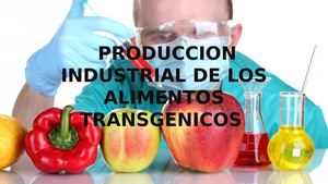 Produccion Industrial De Los Alimentos Transgenicos