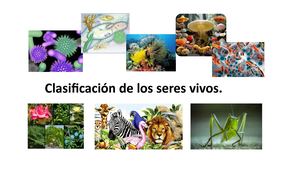 Calaméo - Clasificacion De Animales