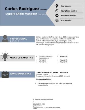 Curriculum Vitae Format