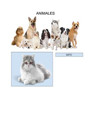 Animales