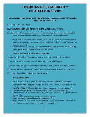 Medidas Preventivas En Casos De Desastres Naturales Para Personas