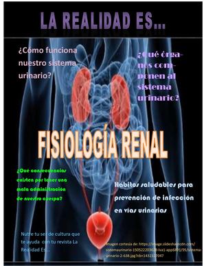 Andrade Joyce Sistema Renal
