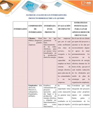 Matriz De Los Interesados