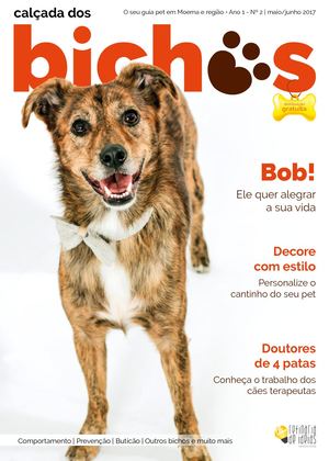 Edição nº 2 | mai/jun 2017