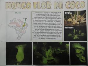 Curiosidad Sin Límites