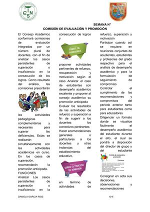 5 Comisión De Evaluación Y Promoción