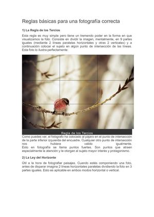 Reglas Básicas Para Una Fotografía Correcta y Camaras Fotograficas