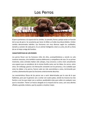 Los Perros