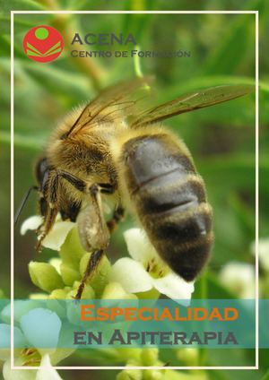 Especialidad en Apiterapia