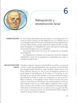 1 Sobreposición Y Reconstrucción Facial Identificación Forense