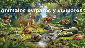 ANIMALES OVÍPAROS Y VIVÍPAROS