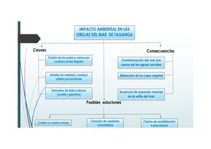 Mapa Conceptual Impacto Ambiental en las orillas del Mar de Taganga