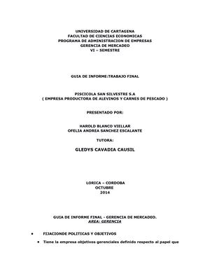 Trabajo Final De Gerencia De Mercadeo