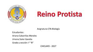 Reino Protista