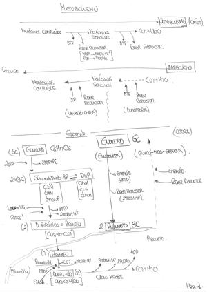 Introducción al Metabolismo