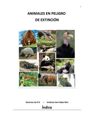 Animales en peligro de extinción- 6°A
