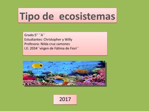 Ecosistema Christopher Y Willy