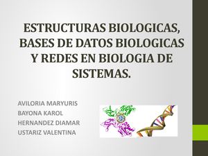 ESTRUCTURAS BIOLÓGICAS, BASES DE DATOS BIOLÓGICAS Y REDES EN BIOLOGÍA DE SISTEMAS.