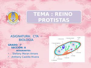 Reino Protistas Plantilla (4)