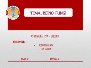 Reino Fungi Plantilla