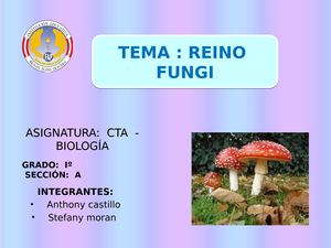 Reino Fungi Plantilla 2356