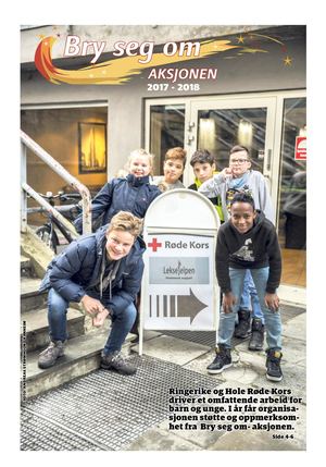 BRY SEG OM AVISA 2017