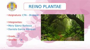 Reino Plantae