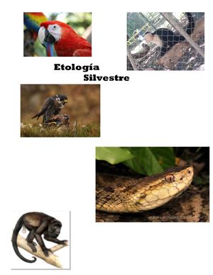 Etología Silvestre