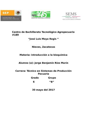 Profe Federico Calorias Consumidas