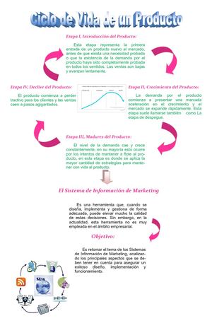 Ciclo De Vida De Un Producto