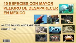 Animales En Peligro De Extincion Mexico