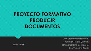 Proyecto Formativo