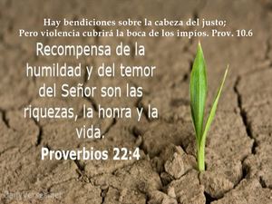 Reglas Para Una Presentacion