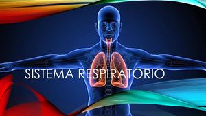 Sistema Respiratorio