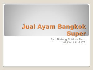 Jual Ayam Bangkok