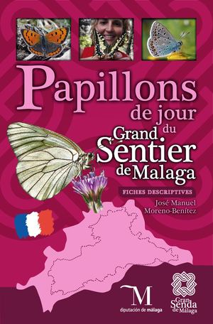 Papillon de jour du Grand Sentier de Malaga. Fiches descriptives