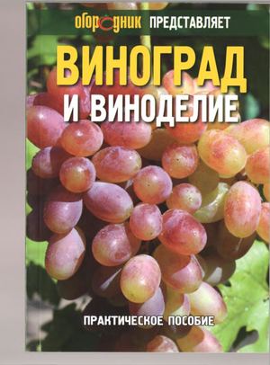 из фисташек своими руками фото