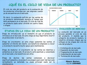 Ciclo De Vida De Un Producto