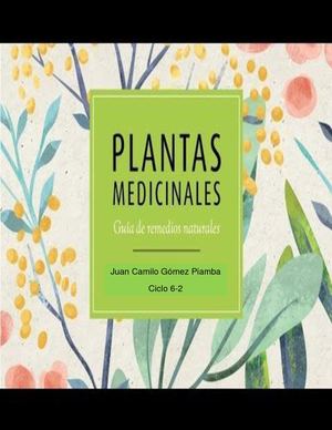Plantas Medicinales
