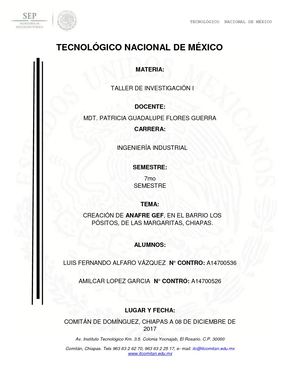 Introducción Fogones