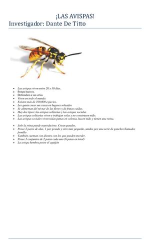 Enciclopedia Ovipara Digital, "Escuela Galicia"