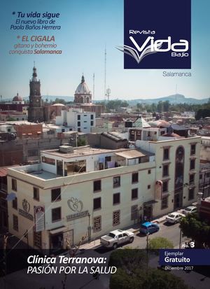 Revista Vida Bajío Salamanca, No. 3, Diciembre 2017