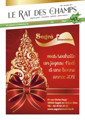 Rat Des Champs Décembre Web