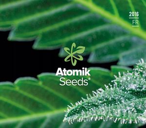 Vous pouvez acheter les graines Atomik Seeds directement
