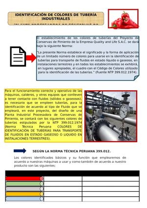 172957753 Norma Tecnica Peruana 399